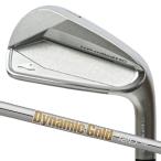 ( custom железный ) Kamui KAMUI KP-milled HC IRON Dynamic Gold 120 7I~PW4 шт. комплект 