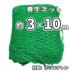 ONESORA защита окружающих объектов сеть защита от птиц сеть груз .. предотвращение сеть 3×10m сеть глаз 2.5cm PE материалы зеленый безопасность сеть садоводство сеть падение предотвращение сеть защитная сетка спорт тренировка для сеть 