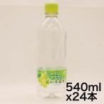 コカ・コーラ い・ろ・は・す シャインマスカット 540mlPET×24本
