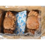 網走水産 北海道産 毛がに2尾セット APID-027