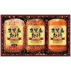  подарок по случаю конца года Кагосима путешествие подарок комплект H-360S