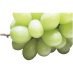  подарок по случаю конца года Daiwa .. автомобиль in мускат SYM-80RW