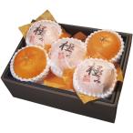 お歳暮 ダイワ果園 愛媛県産 紅まどんな MDO-60RW