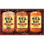  подарок по случаю конца года Prima ветчина Кагосима путешествие подарок H-360S