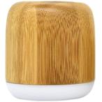  bamboo Mini беспроводной динамик PR037