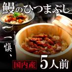 うなぎ 母の日 2025 海鮮 ギフト 誕生日プレゼント 一愼 鰻 ひつまぶし 5人前 セット 魚 食品 一慎 国産 父 母 50代 60代 70代