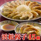 内祝い お返し 食品 3000円 ギフト 出産 結婚 祖父 祖母 お祝い　特価 浜松餃子 45個 餃子 冷凍 15個×3 セット 冷凍餃子 誕生日プレゼント 男性 女性 40代 50代 60代 70代 父 母 食べ物 お取り寄せ 浜松餃子