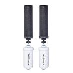 Black Berkey Replacement Filters & Fluoride Filters Combo Pack - Includes 2 Black Filters and 2 Fluoride Filters by Berkey