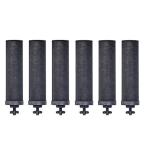 BERKEY оригинальный черный BERKEY.. Element - BERKEY.. фильтр (6 шт упаковка )