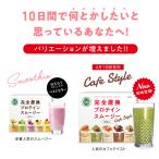 ショッピングダイエット 数量・期間限定特別価格 完全置換プロテインスムージー 20袋(5味×4袋)セット ヴィーガン 置き換え スムージー ファスティング プロテイン ダイエット シェイク