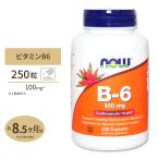 ビタミンB6 100mg 250粒 NOW Foods (ナウフーズ)