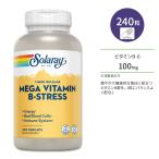 so RaRe - mega витамин B 240 шарик beji Capsule Solaray Mega Vitamin B-Stress Timed-Release дополнение витамин витамин C Cheer min