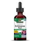 ショッピングエキナセア ネイチャーズアンサー エキナセア アルコールフリーエキス 113g NATURE'S ANSWER Echinacea Alcohol Free Extract お取り寄せ