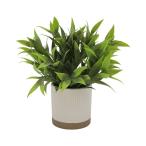  ваш заказ [woru mart бренд ] основной стойка zbaibe ключ Gare рука la человеческий труд чай leaf примерно 20cm белый two цветный керамика pot Mai