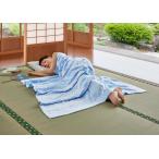 今治タオルブランド タオルケット 3色組 シングルサイズ 日本製 夏 母の日 父の日 贈り物 ギフト