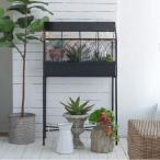 ショッピングテラリウム フラワーハウス プランター テラリウム ハウスプランター プランター おしゃれ  ナチュラル ブラック テラリウム ビオトープ ディスプレイ