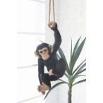 サル 猿 Monkey 申 さる アンティーク 動物 アニマル 置き物 吊り下げ オブジェ