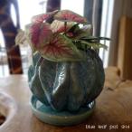 blue leaf pot диаметр 14 чёрный pot для цветочный горшок посадочная машина чёрный pot модный современный горшок керамика терракота неглазурованный фарфор . бирюзовый b лупа ru автомобиль голубой садоводство декоративное растение цветок 