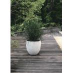 軽量プランター プランター 植木鉢 底穴あり ホワイト  幅55cm ガーデニング 園芸用品 大型 おしゃれ 円形 アンティーク 陶器鉢