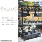 ボタニカルシェルフ 園芸ラック ビザールプランツラック 植物育成 植物棚 多肉棚 フラワースタンド プランタースタンド植物育成キット シェルフ ラック 組立式