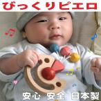 木のおもちゃ 出産祝い 0歳 1歳 日本