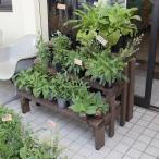 WOODPRO プランター台/花台 棚板セット3段 プランタースタンド フラワースタンド フラワーラック 園芸ラック 棚 植物 観葉植物 ベランダ 日本製 国産