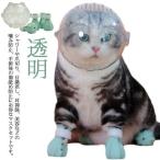  кошка для маска намордник foot с чехлом прозрачный домашнее животное маска космос headgear намордник "дышит" кошка ветеринарный воротник вентиляция кошка .. кусачки для ногтей инструмент для оказания помощи уголок уборка автомобиль 