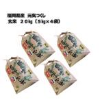 送料無料、九州産、玄米　[ 元気つくし ] [ 玄米 ] [ 20kg (5kg×4袋) ]  令和7年産  福岡県産  農家直送  送料無料　新米