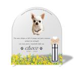 【ペットメモリアル】ペット位牌 犬 猫  名入れ おしゃれアクリルプレート オーダーメイド デザイナー仕上げ 日本製 メモリアルカプセル付  (ミモザ, クリア)