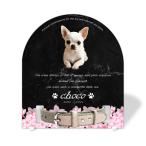 [ домашнее животное memorial ] домашнее животное мемориальная табличка собака кошка название inserting модный акрил plate выполненный под заказ ошейник модель сделано в Японии ( Sakura, мрамор style черный * ошейник маленький )