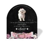 [ домашнее животное memorial ] домашнее животное мемориальная табличка собака кошка название inserting модный акрил plate выполненный под заказ ошейник модель сделано в Японии ( Cosmos, мрамор style черный * ошейник маленький )