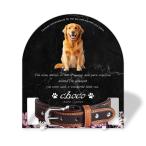 [ домашнее животное memorial ] домашнее животное мемориальная табличка собака кошка название inserting модный акрил plate выполненный под заказ ошейник модель ( Cosmos, мрамор style черный * ошейник большой )