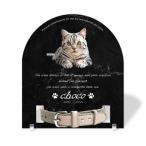 [ домашнее животное memorial ] домашнее животное мемориальная табличка собака кошка название inserting модный акрил plate выполненный под заказ ошейник модель ( одноцветный, мрамор style черный * ошейник маленький )
