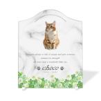 [ домашнее животное memorial ] домашнее животное мемориальная табличка собака кошка название inserting модный акрил plate выполненный под заказ designer отделка сделано в Японии ( белый ушко ksa, мрамор style белый )