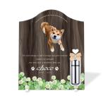 [ домашнее животное memorial ] домашнее животное мемориальная табличка собака кошка название inserting модный акрил plate выполненный под заказ сделано в Японии memorial Capsule есть ( белый ушко ksa, walnut style )