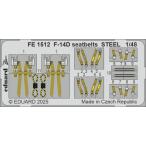 e двойной do(FE1512)1/48 Grumman F-14D Tomcat для ремень безопасности. искусство гравировки детали ( рекомендация комплект : Great Wall Hobby )