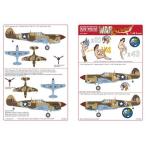 Kits-World(148067)1/48 Curtiss P-40F 'Fifinella' др. для переводная картинка 