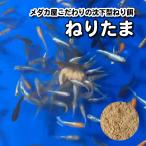 [500g]me Dakar магазин. пастообразная прикормка .. Tama [ бесплатная доставка ]. внизу type пастообразная прикормка длина час кормление высота белок высота питание оризия 