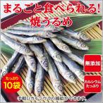焼きうるめ 40g×10袋 うるめいわし 