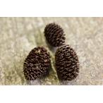  cocos nucifera .bsi. реальный 10 шт * организм вместе заказ пожалуйста 