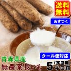 あすつく クール便対応 送料無料 無農薬長いも ご家庭用 5キロ箱 長芋 無農薬栽培