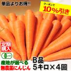 ポイント5倍★にんじん 無農薬人参 