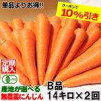 ポイント5倍 にんじん 無農薬人参 14