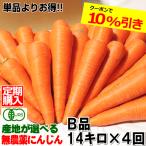 ポイント5倍 にんじん 無農薬人参 14