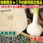 【予約】 生にんにく 青森 1kg 新物 幻の生にんにく！国産最高級ブランドにんにく Mサイズ以上大玉混合