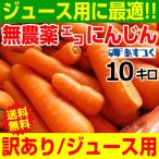 あすつく 人参ジュースに最適 無農薬にんじん 10kg 加工/ジュース用 訳あり 無農薬人参 10kg 【クール便対応】エコにんじん