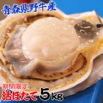 青森 野牛 ホタテ 殻付き 活ほたて 大サイズ5キロ 送料無料 青森 貝柱が美味 ほたて 5kg(約20枚-25枚)