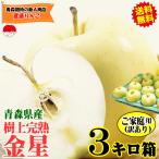青森 りんご 3kg箱 金星 有袋 家庭用/訳あり クール便送料無料 リンゴ 3キロ箱★有袋金星 家訳 3kg箱