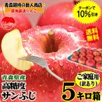 ショッピング配送日指定 あすつく 青森 りんご 5kg 訳あり/家庭用 サンふじ 送料無料 旬シリーズ★選べるサンふじ王林 家訳 5kg箱