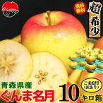 あすつく 青森 りんご 10kg箱 ぐんま名月 クール便 送料無料 家庭用/訳あり 青森 リンゴ 訳あり 10キロ箱★名月 家訳 10kg箱